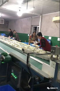 酒店管理视角下的餐具安全与员工卫生灾难